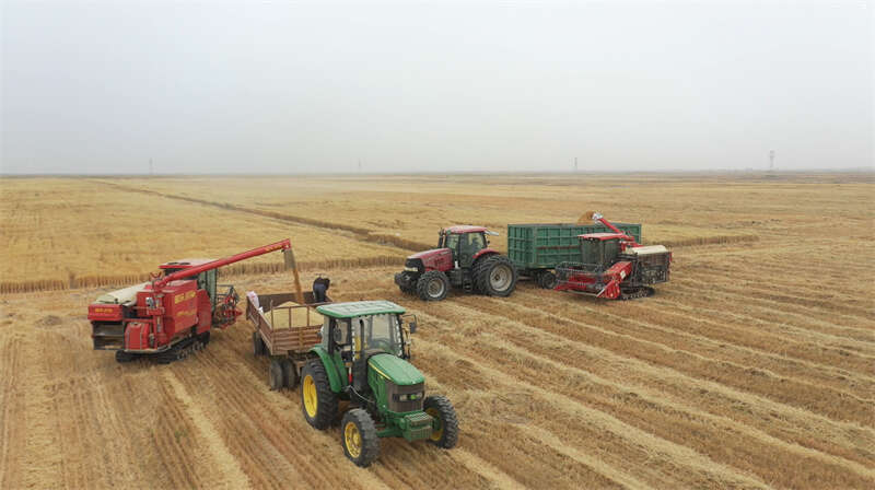 ”:把“不可能”变成“了不起”ky开元棋牌沙漠来了“新居民(图3) ”:把“不可能”变成“了不起”ky开元棋牌沙漠来了“新居民(图3)