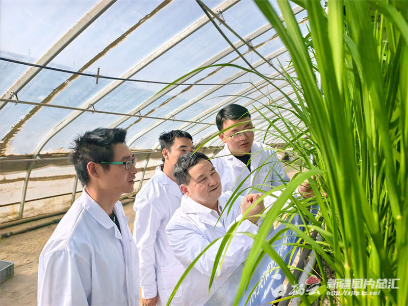 ”:把“不可能”变成“了不起”ky开元棋牌沙漠来了“新居民(图8) ”:把“不可能”变成“了不起”ky开元棋牌沙漠来了“新居民(图8)