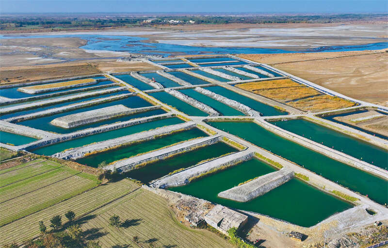 ”:把“不可能”变成“了不起”ky开元棋牌沙漠来了“新居民(图7) ”:把“不可能”变成“了不起”ky开元棋牌沙漠来了“新居民(图7)