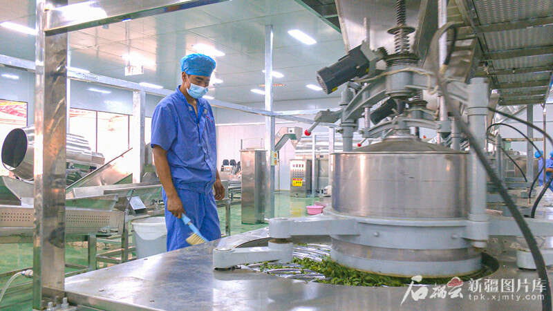 ”:把“不可能”变成“了不起”ky开元棋牌沙漠来了“新居民(图9) ”:把“不可能”变成“了不起”ky开元棋牌沙漠来了“新居民(图9)