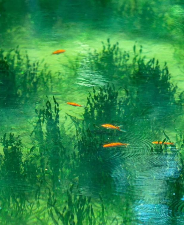 身体炸划算还有节日限定香薰、香包开元棋牌香香好物丨欧珑正装香水、(图28)