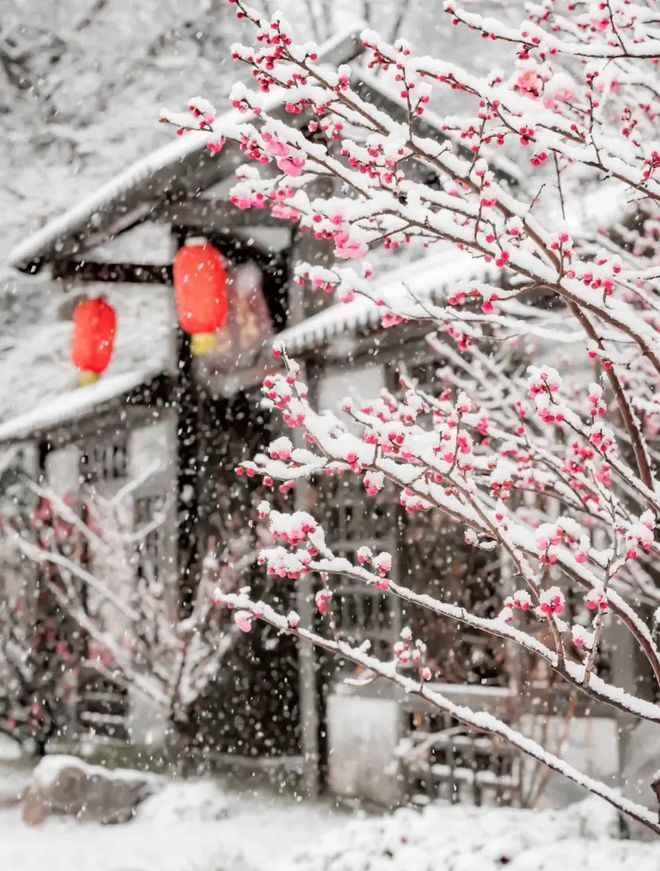 身体炸划算还有节日限定香薰、香包开元棋牌香香好物丨欧珑正装香水、(图40)