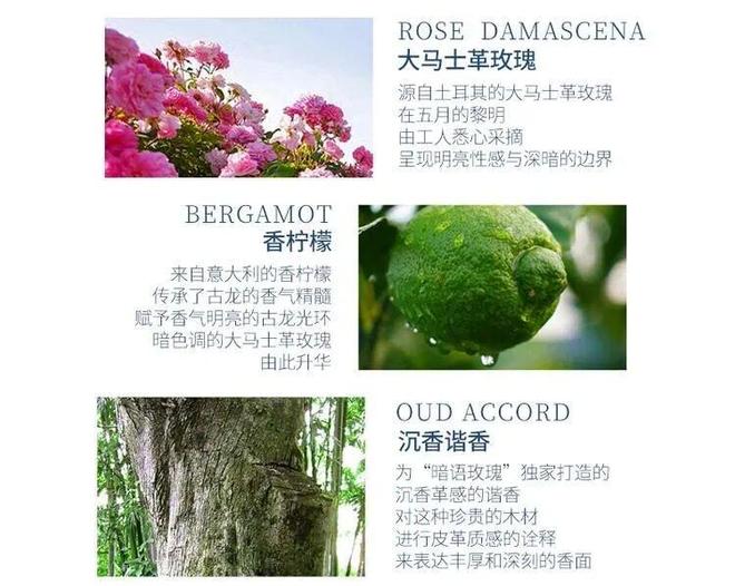 身体炸划算还有节日限定香薰、香包开元棋牌香香好物丨欧珑正装香水、(图42)